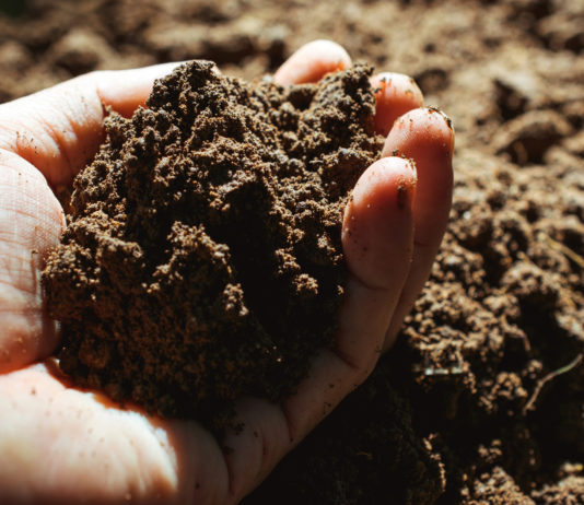 Caring for God’s creation