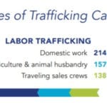 Human trafficking types larger