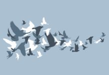 Change transforms us