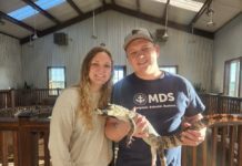 Couple concluding year-long day(care) dream journey