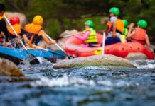 The power of working together