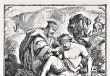 Won’t you be my neighbor