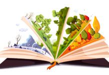 Lifelong learning A book with changing seasons between the pages