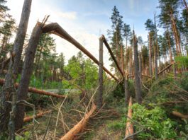 The path of reconciliation