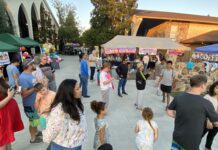 A beautiful partnership