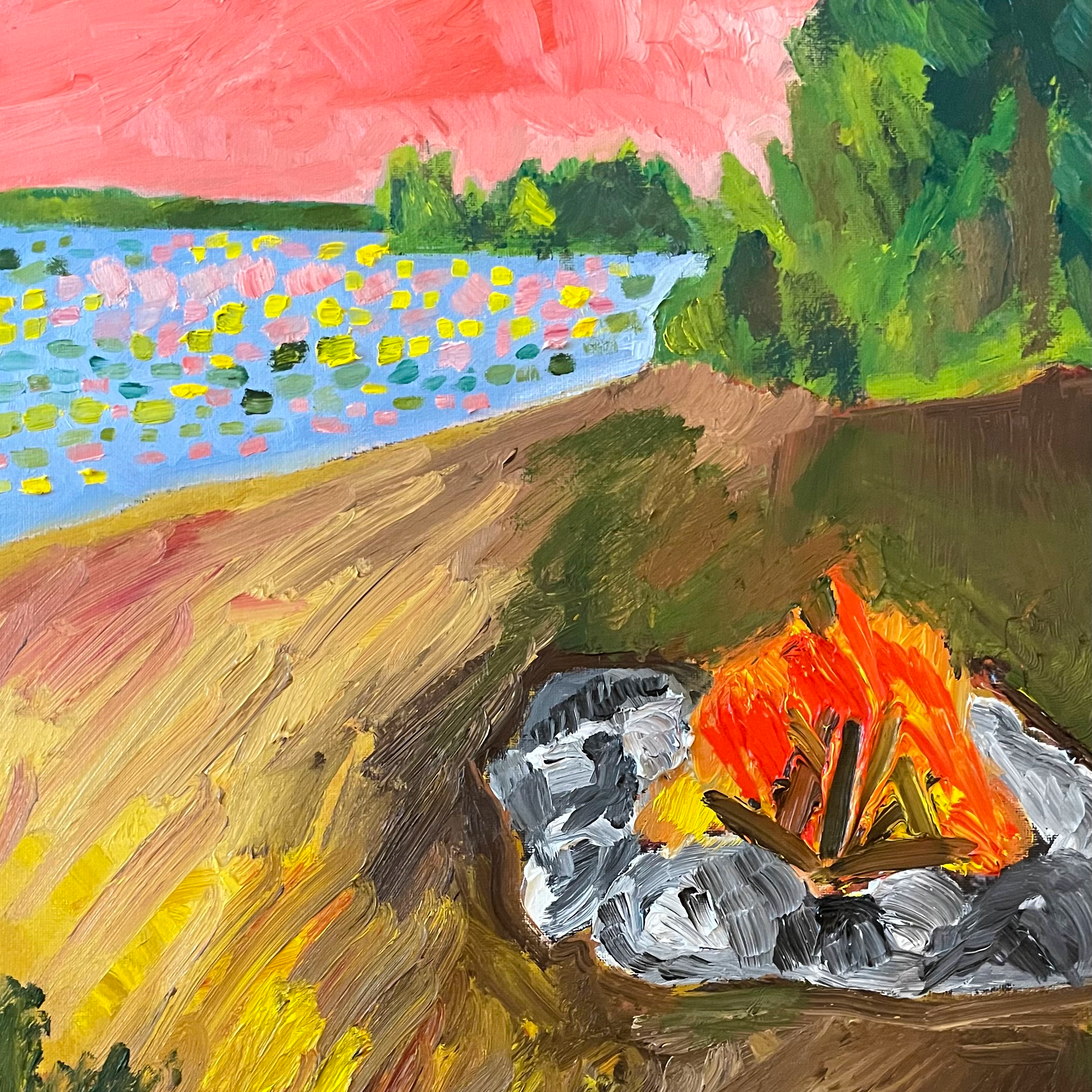 Camfire_Website